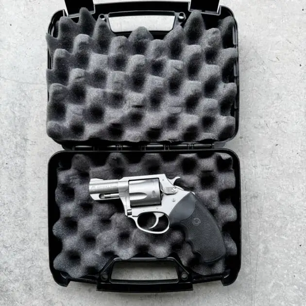 Charter Arms Pitbull