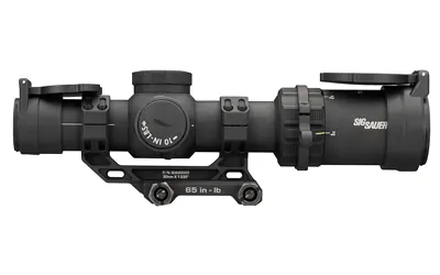 Sig Tango-msr Cmp 1-10x24 Ffp Bdc10