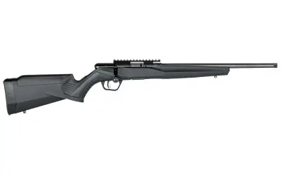 Sav B22 Fv-sr 22lr 16" Tb 10rd Blk